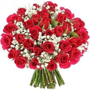 Fleurs D'amour – 25 Roses Rouges Et Une Rose Blanche – Fleuriste à  Casablanca